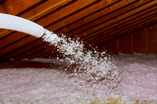 Best Commercial Insulation in Mauriceville, TX