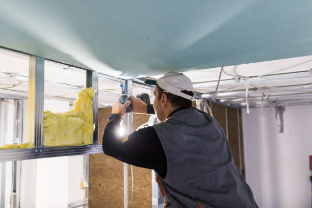 Best Residential Insulation in Mauriceville, TX