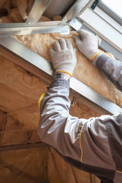 Best Cellulose Insulation in Mauriceville, TX