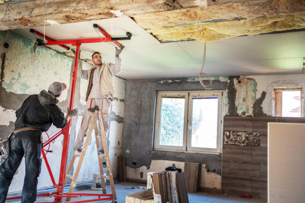 Best Eco-Friendly Insulation in Mauriceville, TX